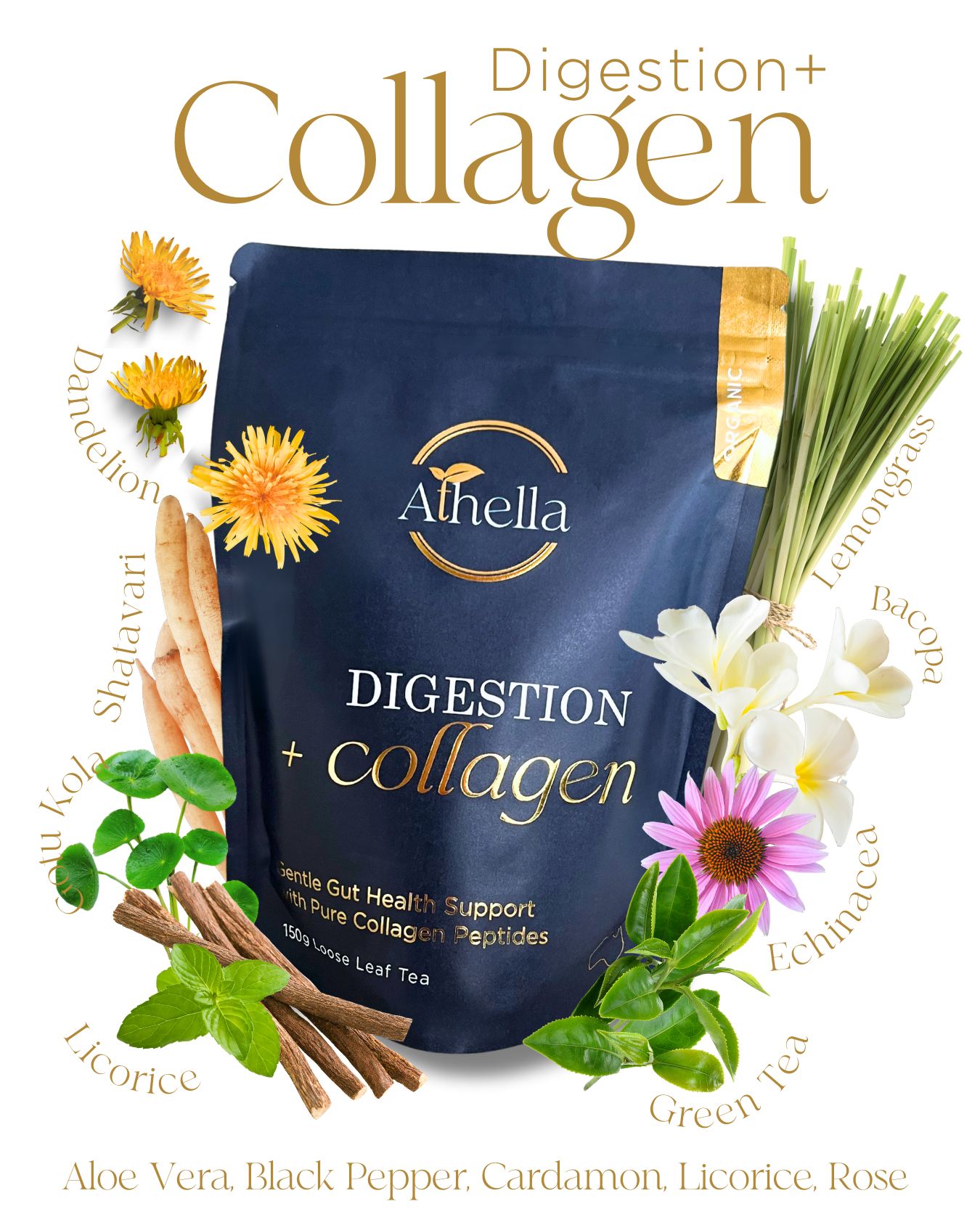 New | Digestion + Collagen